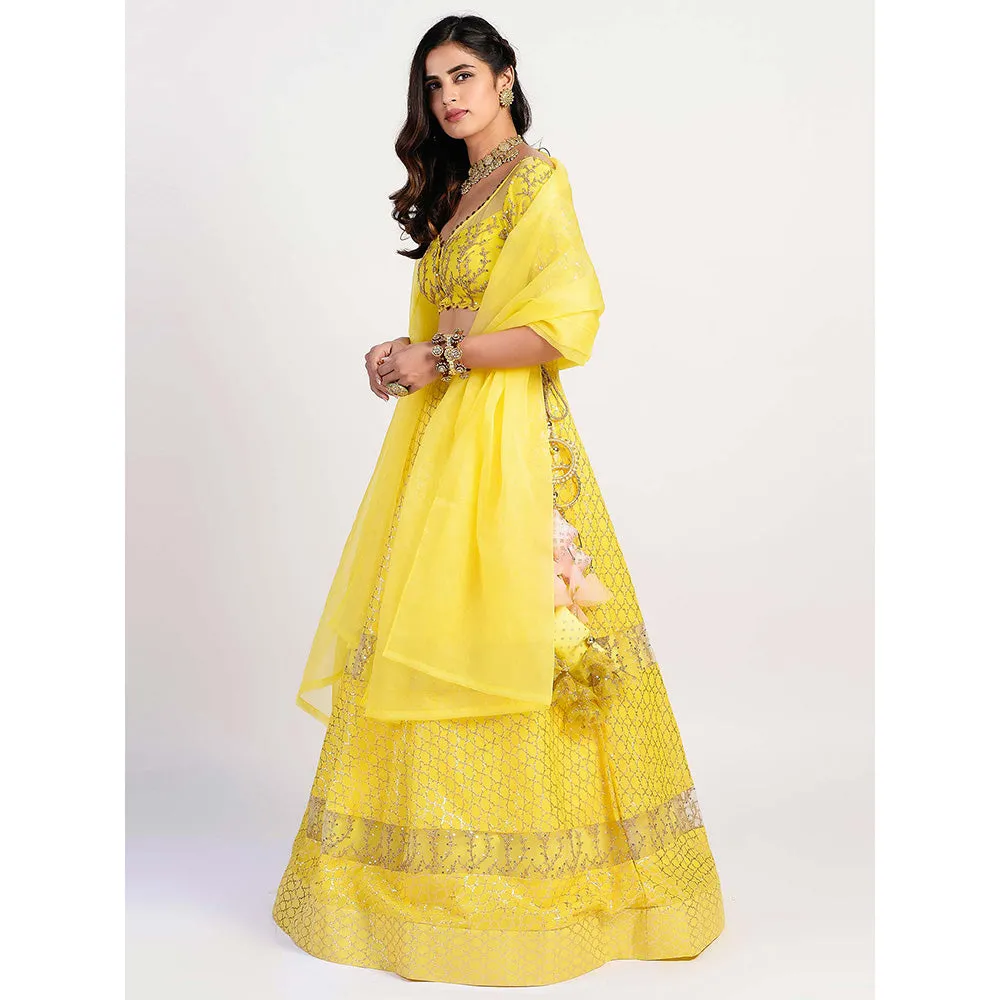 Rishi & Vibhuti yellow Embellished Blouse And Lehenga With Dupatta (Set of 3)